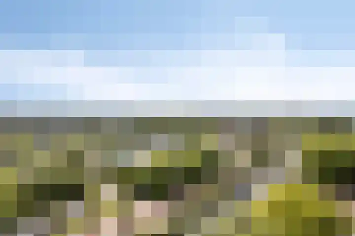 De Roerdomp 84 Purmerend thumbnail 22