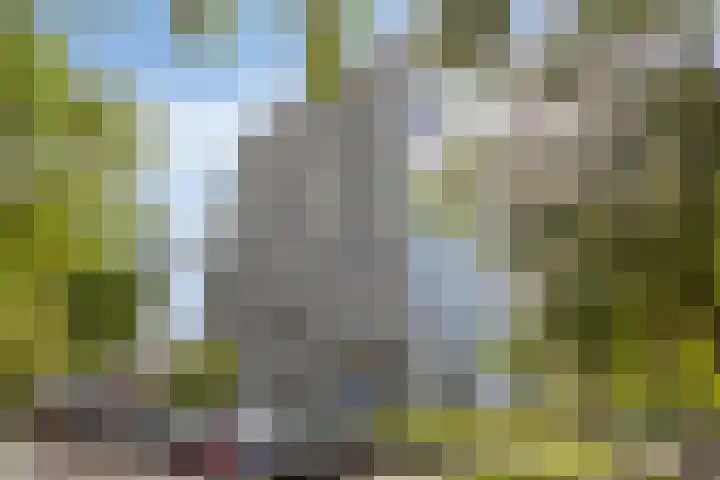 De Roerdomp 84 Purmerend thumbnail 27