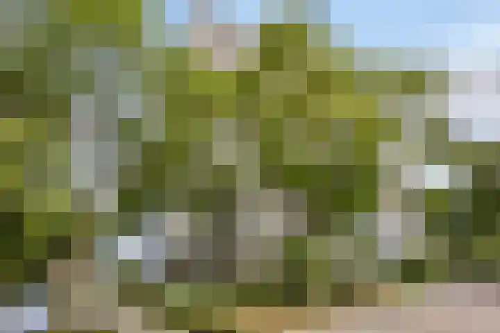 De Roerdomp 84 Purmerend thumbnail 28