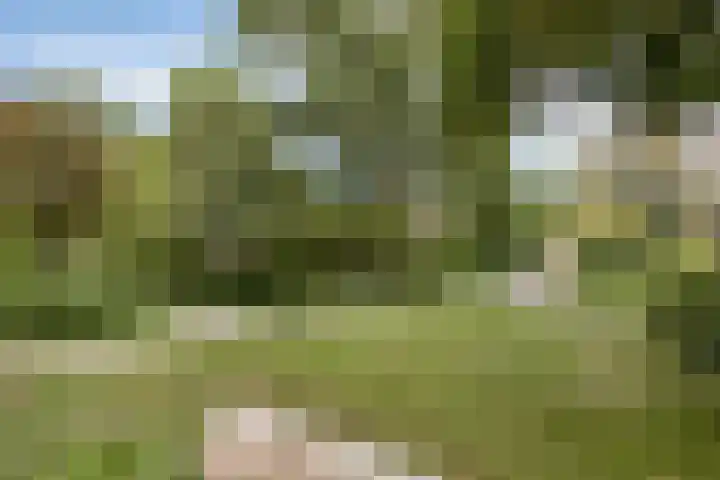 De Roerdomp 84 Purmerend thumbnail 29