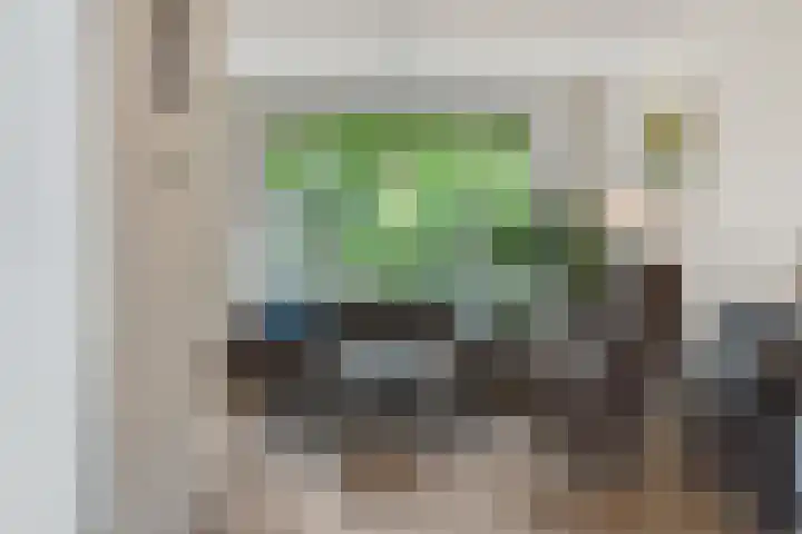 De Rogge 6 Heesch thumbnail 11