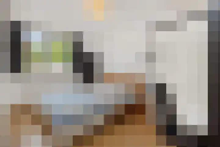 De Rogge 6 Heesch thumbnail 18