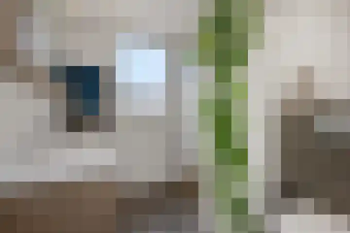 De Rogge 6 Heesch thumbnail 21