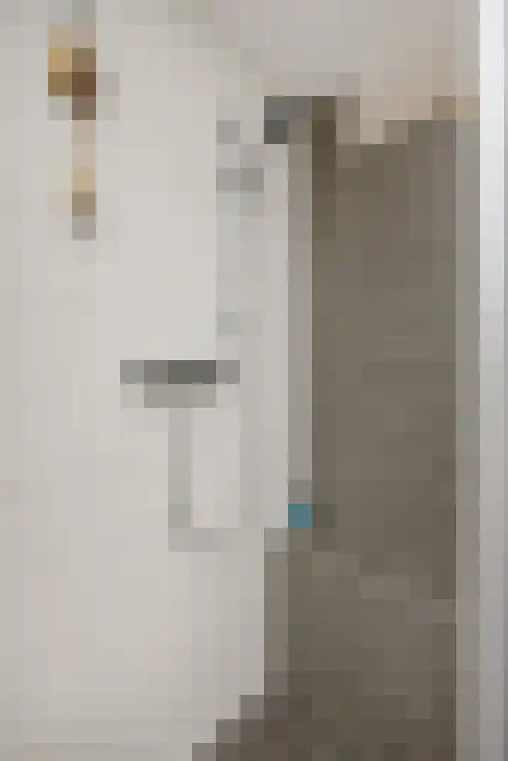 De Rogge 6 Heesch thumbnail 24