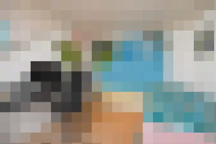 De Rogge 6 Heesch thumbnail 27