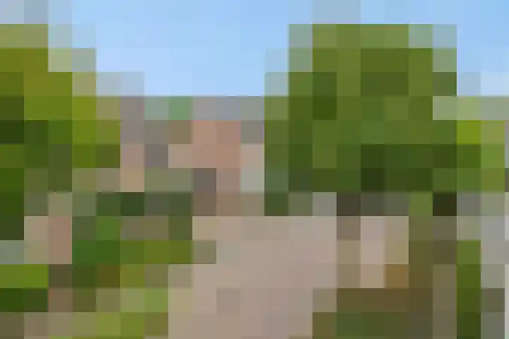 De Rogge 6 Heesch thumbnail 43