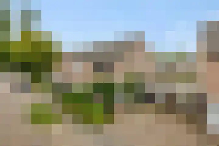 De Rogge 6 Heesch thumbnail 44