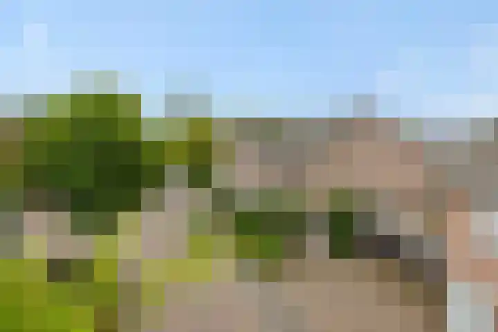 De Rogge 6 Heesch thumbnail 45