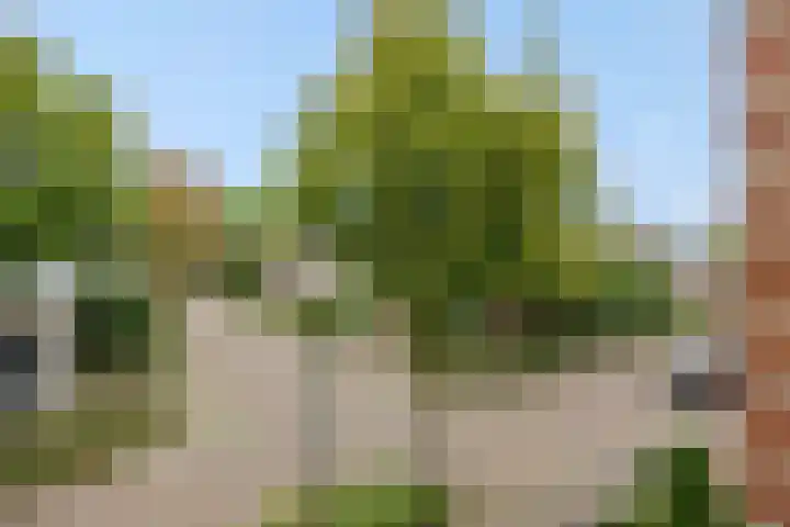 De Rogge 6 Heesch thumbnail 46