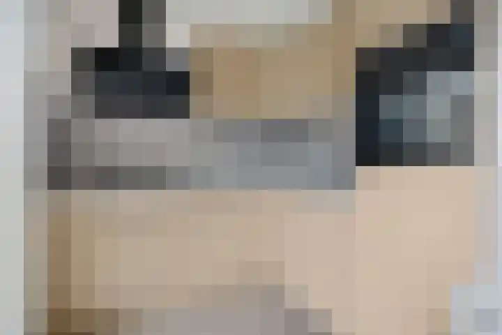De Rolle 49 Vledder thumbnail 11