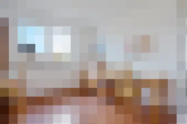 De Rolle 49 Vledder thumbnail 18