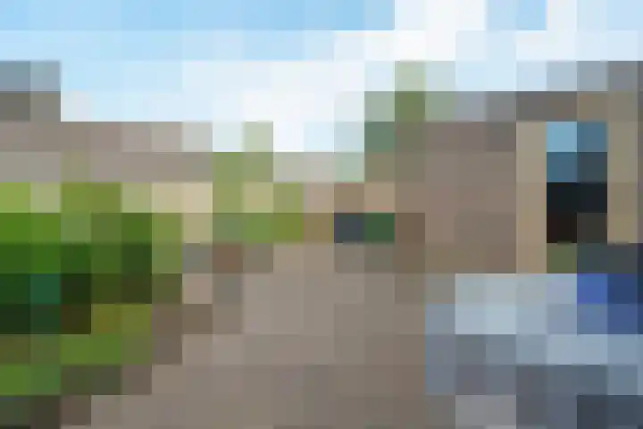 De Rolle 49 Vledder thumbnail 26
