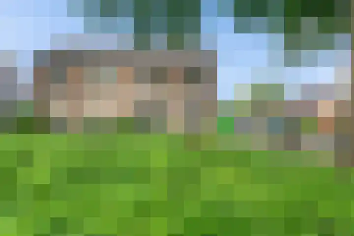 De Rolle 49 Vledder thumbnail 28