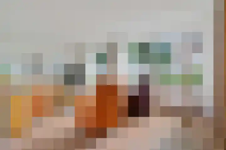 De Rolle 49 Vledder thumbnail 5