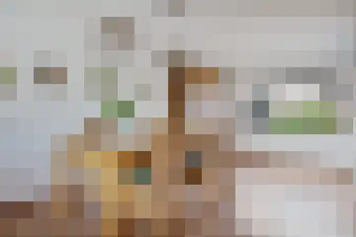 De Rolle 49 Vledder thumbnail 7