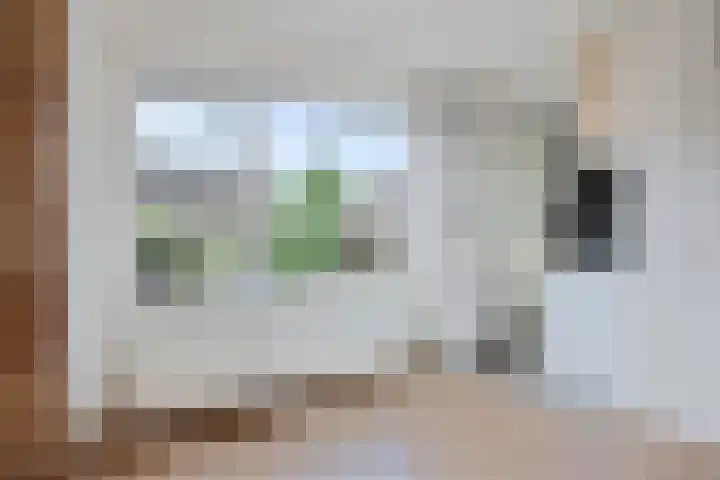 De Rolle 49 Vledder thumbnail 9