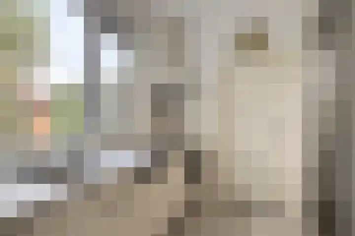 De Rolle 51 Vledder thumbnail 13