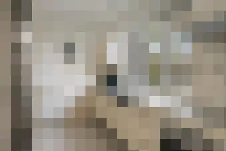 De Rolle 51 Vledder thumbnail 14
