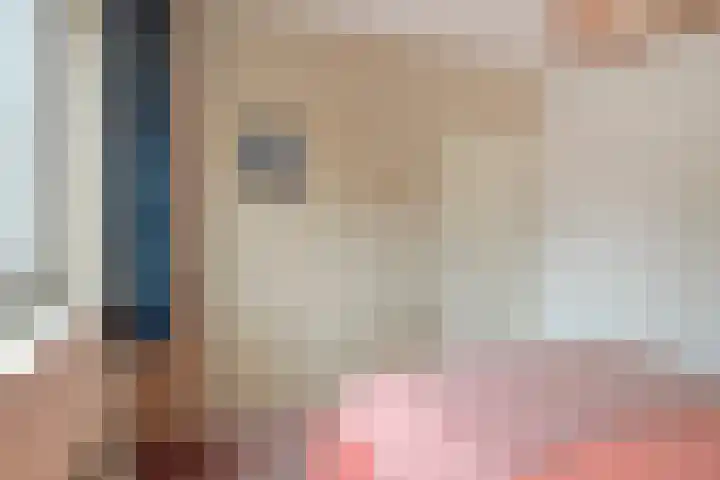 De Rolle 51 Vledder thumbnail 18