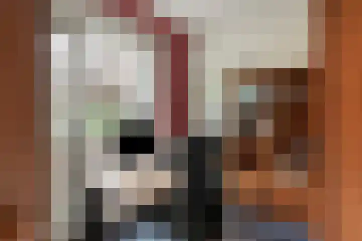 De Rolle 51 Vledder thumbnail 19