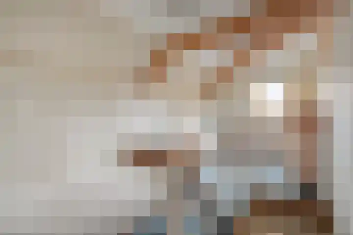 De Rolle 51 Vledder thumbnail 23