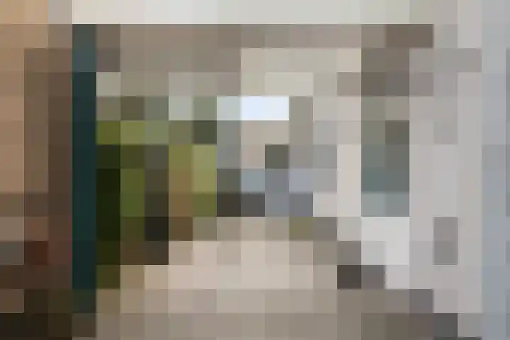 De Rolle 51 Vledder thumbnail 28