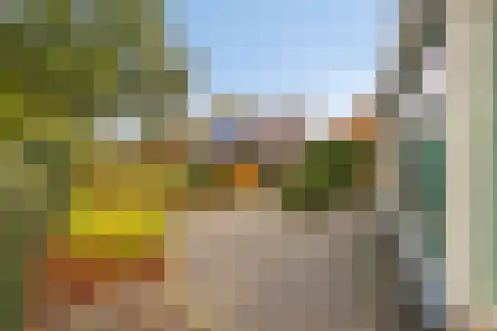De Rolle 51 Vledder thumbnail 34