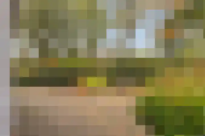 De Rolle 51 Vledder thumbnail 35