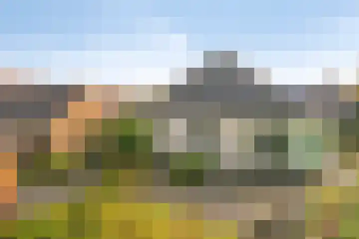 De Rolle 51 Vledder thumbnail 37
