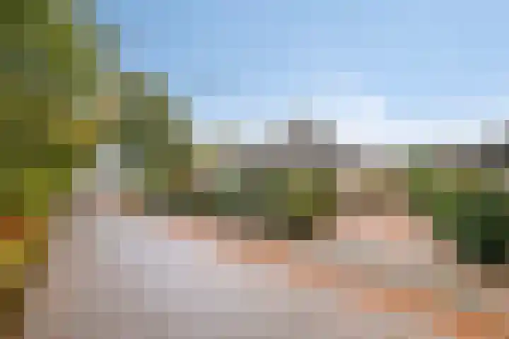 De Rolle 51 Vledder thumbnail 41