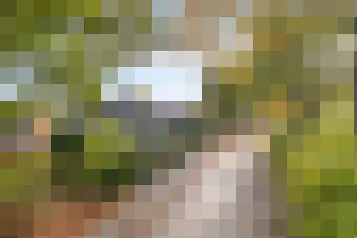 De Rolle 51 Vledder thumbnail 42