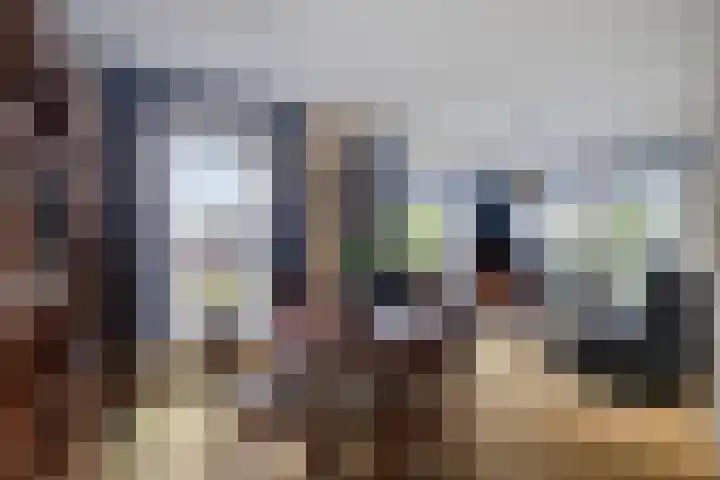 De Rolle 51 Vledder thumbnail 6