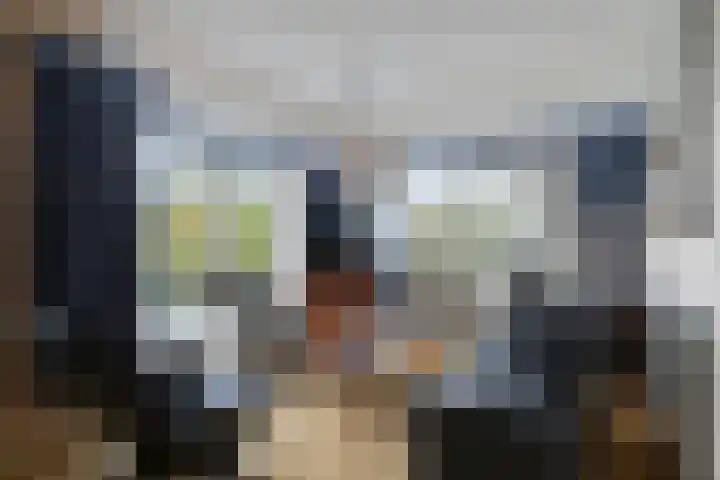 De Rolle 51 Vledder thumbnail 7