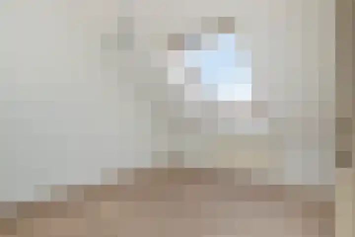 De Romme 25 Berlicum thumbnail 25