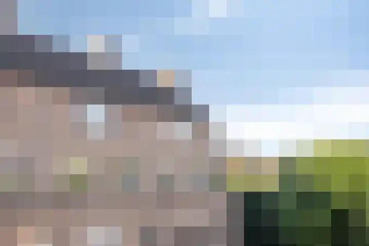 De Romme 25 Berlicum thumbnail 30