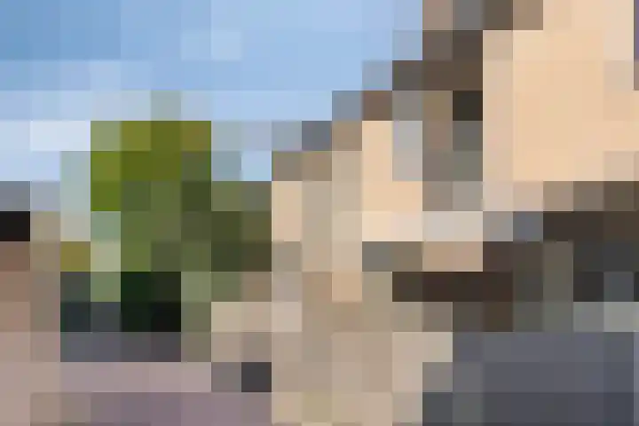 De Romme 25 Berlicum thumbnail 32