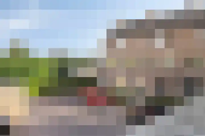 De Romme 25 Berlicum thumbnail 33