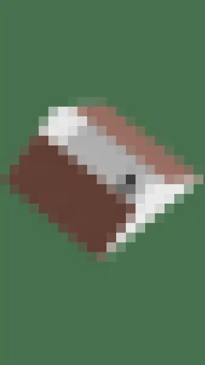 De Romme 25 Berlicum thumbnail 43