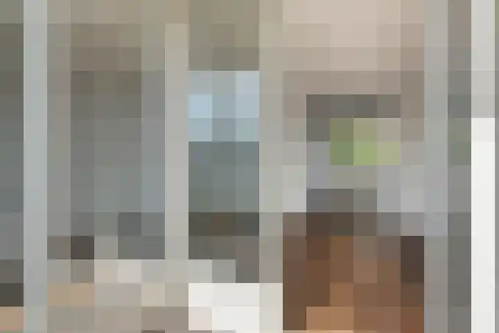 De Romme 6 Berlicum thumbnail 20