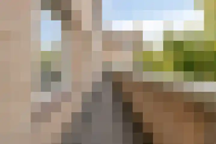 De Romme 6 Berlicum thumbnail 31
