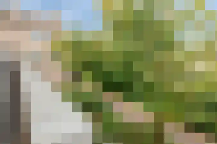 De Romme 6 Berlicum thumbnail 32