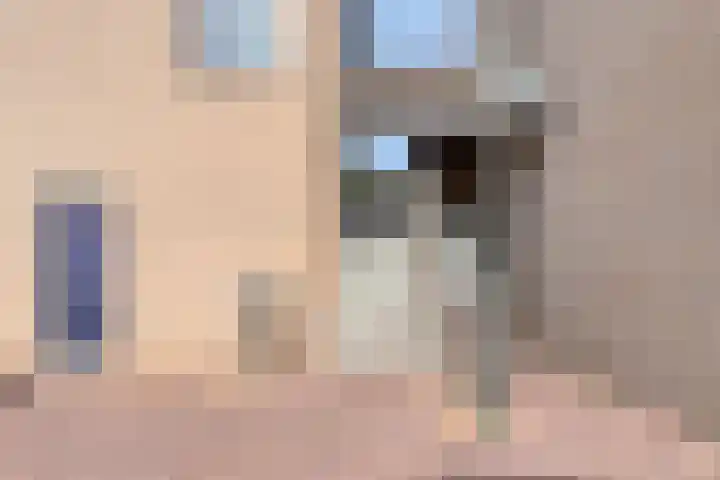 De Romme 6 Berlicum thumbnail 36