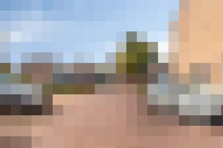 De Romme 6 Berlicum thumbnail 37