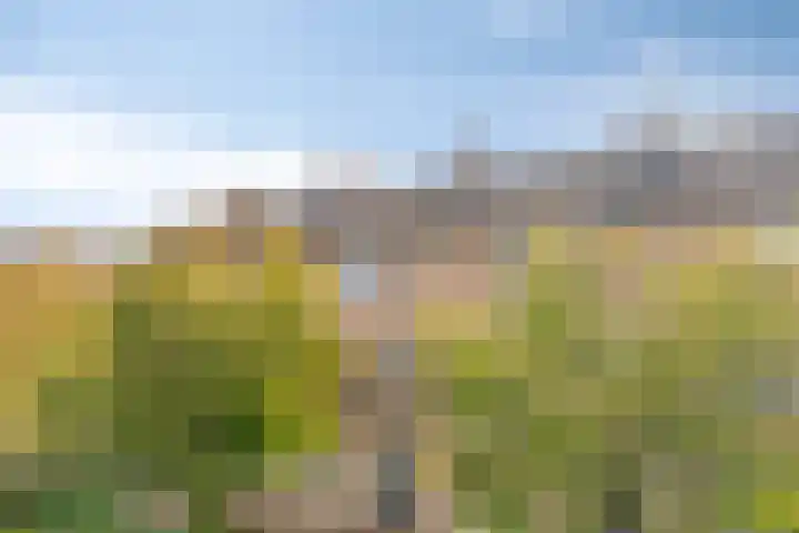 De Romme 6 Berlicum thumbnail 7