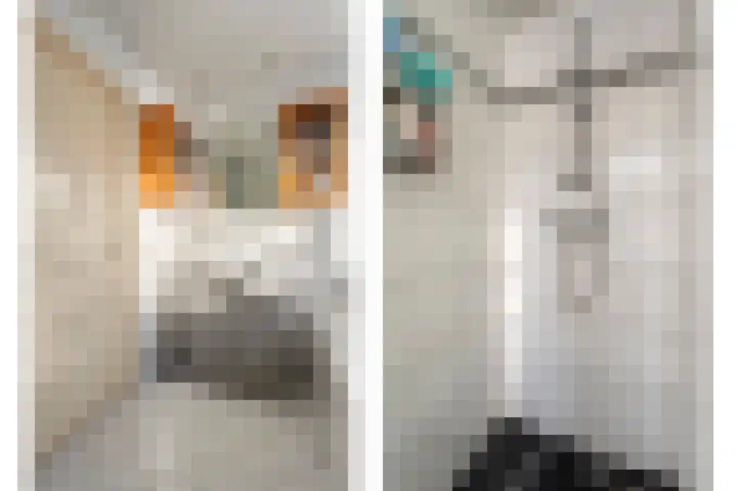 De Ronge 31 Beilen thumbnail 23