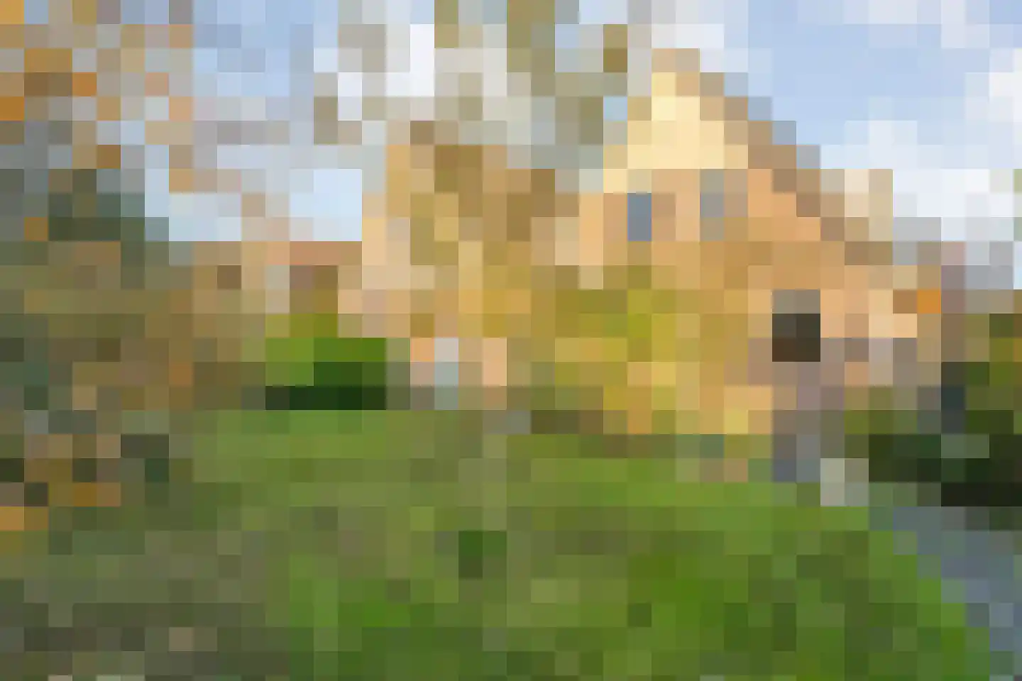 De Ronge 31 Beilen thumbnail 40