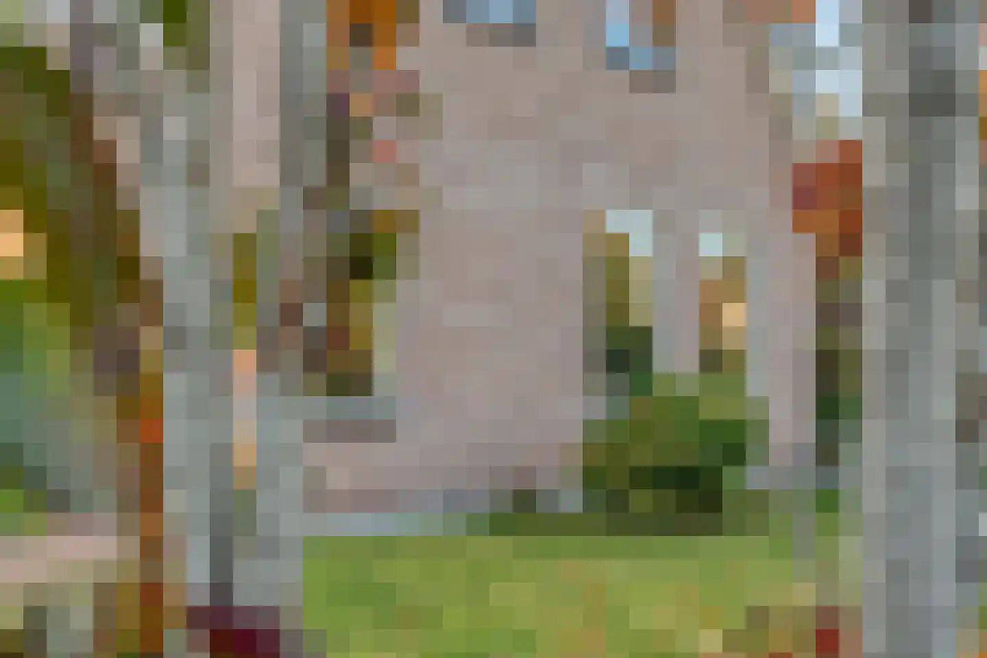 De Ronge 31 Beilen thumbnail 41