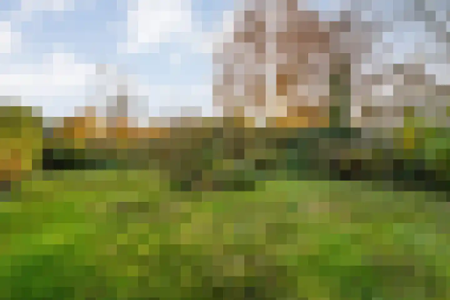 De Ronge 31 Beilen thumbnail 44