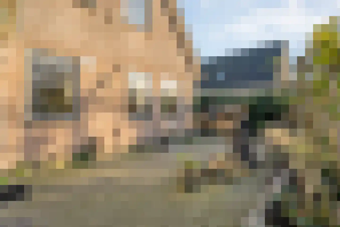 De Ronge 31 Beilen thumbnail 45