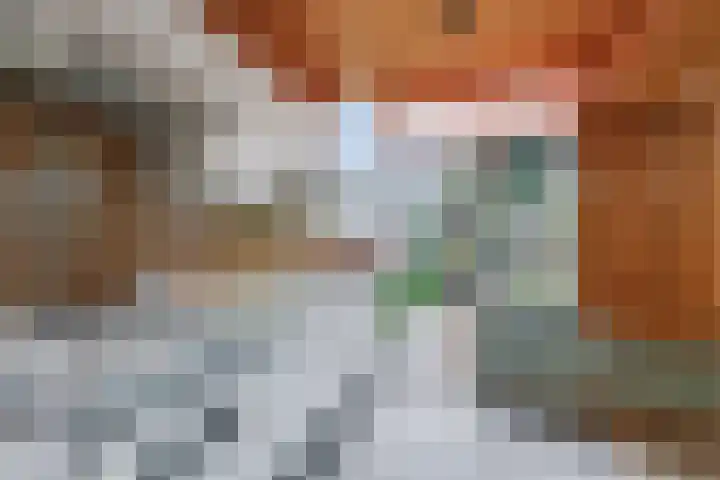 de Roolaan 31 Westmaas thumbnail 15